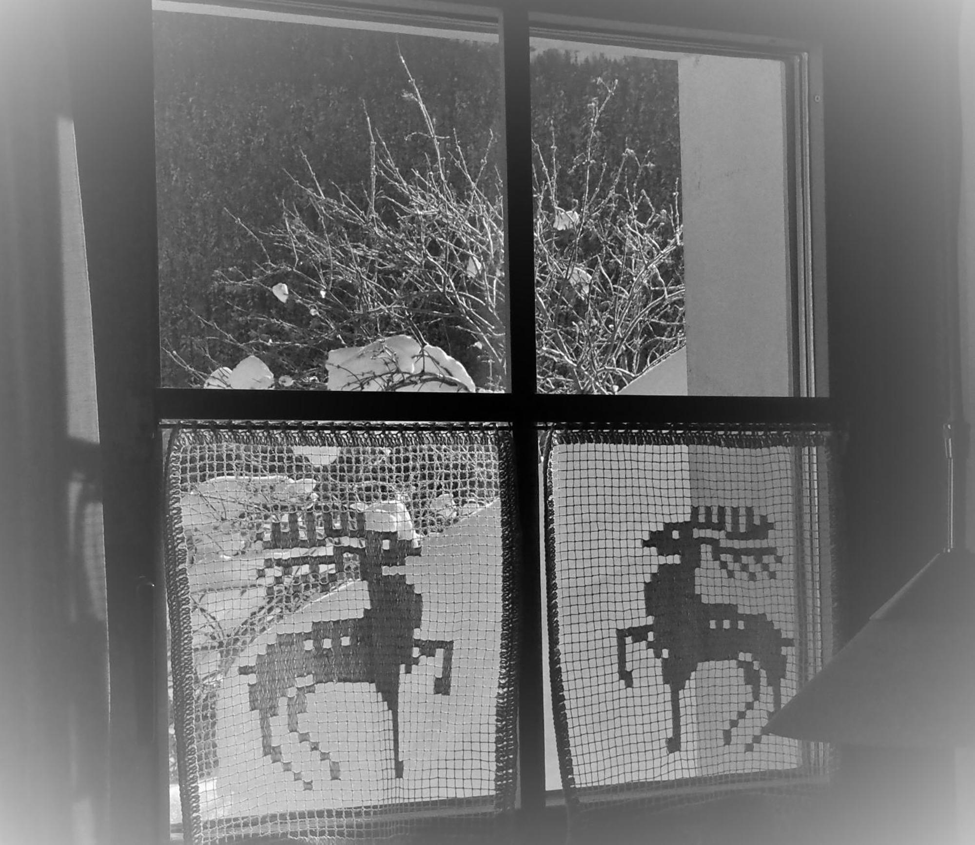 Apartmán Chesa Sper L'Ovel Brail Zernez Exteriér fotografie